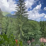 Pensiunea Casa Iris
