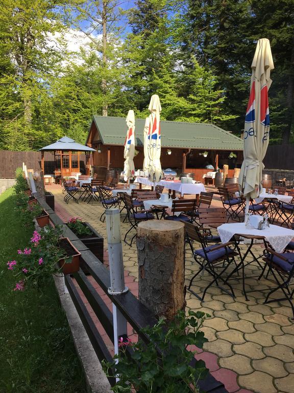 Hotel Pensiunea Casa Iris Sinaia